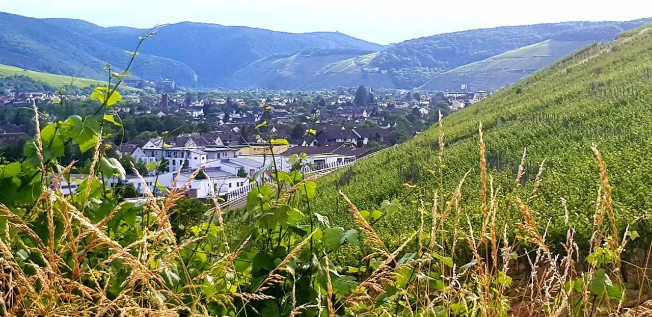 Ahrweiler Seelchen Bad Neuenahr-Ahrweiler Extérieur photo