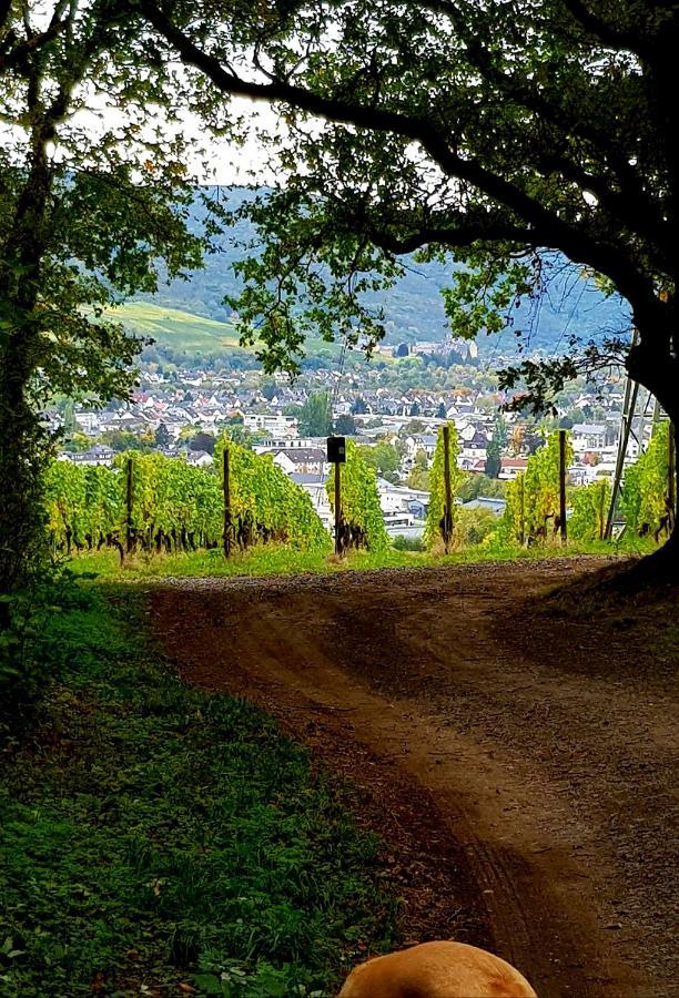 Ahrweiler Seelchen Bad Neuenahr-Ahrweiler Extérieur photo